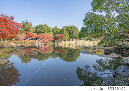 奈良公園 85526102