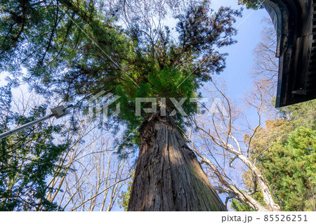 手長神社 85526251