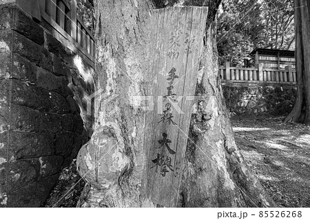 手長神社 85526268