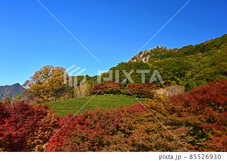 佐賀県　武雄市　慧洲園（けいしゅうえん）の紅葉 85526930