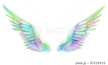 翼 水彩画風 羽 ウイング 鳥 のイラスト素材