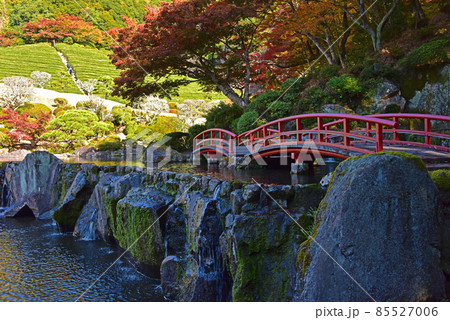 佐賀県　武雄市　慧洲園（けいしゅうえん）の紅葉 85527006