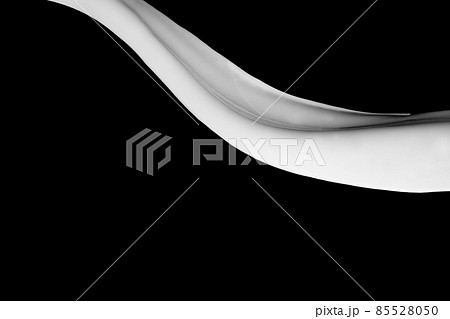 White paint splash isolated on black background. White paint splash isolated on black background. 85528050