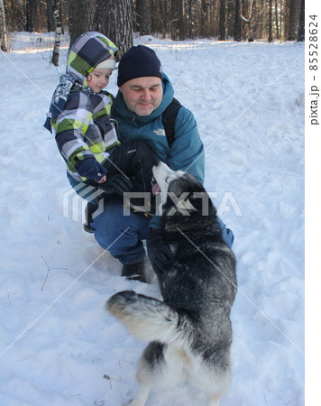 Man Father and Son Aqutive Weekend Dog Husky in Winter Forest Man Father and Son Aqutive Weekend Dog Husky in Winter Forest 85528624