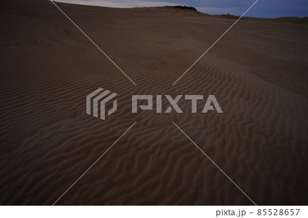 鳥取砂丘にて 85528657