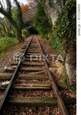 廃線 廃線 85528660