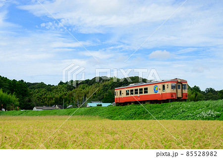 キハ20　いすみ　鉄道 85528982