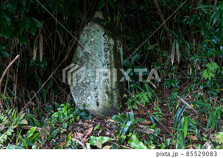 暗峠 暗峠 85529083