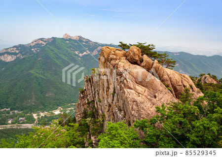 雪岳山 権金城 ダルマボン 85529345