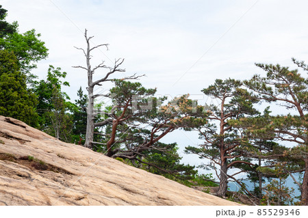 雪岳山 岩 石 85529346