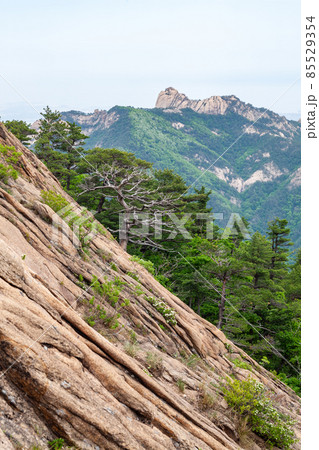 権金城 ダルマボン 雪岳山 85529354