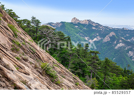 権金城 ダルマボン 雪岳山 85529357