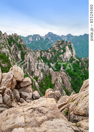 よろず屋 雪岳山 江原道 85529360