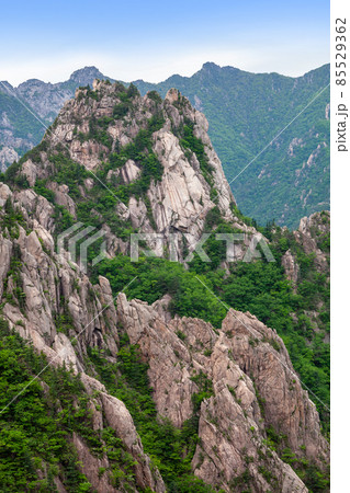 よろず屋 雪岳山 江原道 85529362