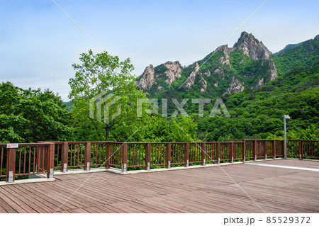 ノジョクボン 雪岳山 江原道 85529372
