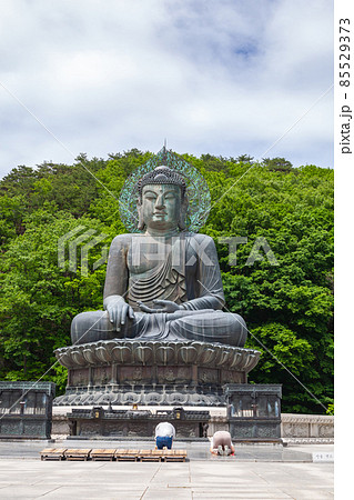 統一大仏 新興寺 雪岳山 85529373