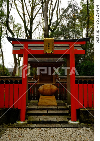 さわた社はラグビー神社 さわた社はラグビー神社 85529494