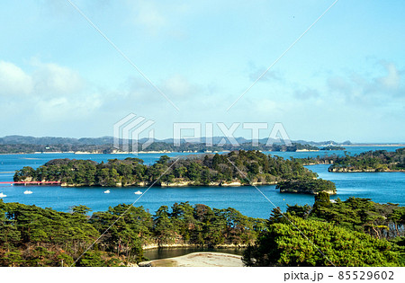宮城県　松島海岸　高台から見下ろす雄島と福浦島 85529602