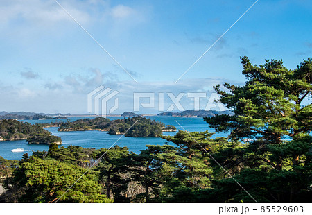 宮城県　松島海岸　高台から見下ろす経ヶ島と引通島 85529603