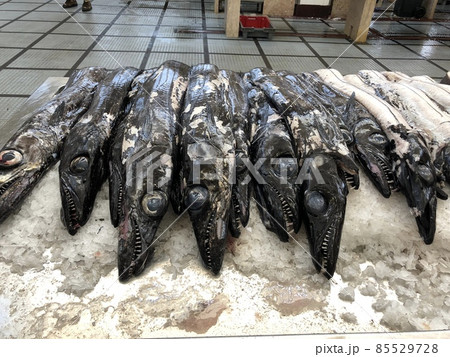 ポルトガル『マデイラ諸島』の市場に売っていた、黒太刀魚。 85529728