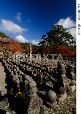 奥嵯峨野の化野念仏寺の秋 奥嵯峨野の化野念仏寺の秋 85530194