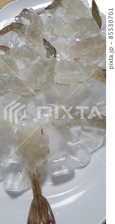 海老 海老 85530701