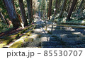 観光地の長い石段 85530707