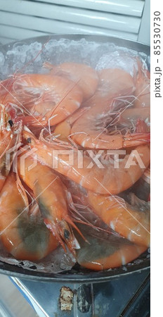 海老 85530730