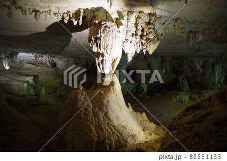 マレーシア　ボルネオ島の世界遺産　グヌン・ムル国立公園のラングスケイブ 85531133