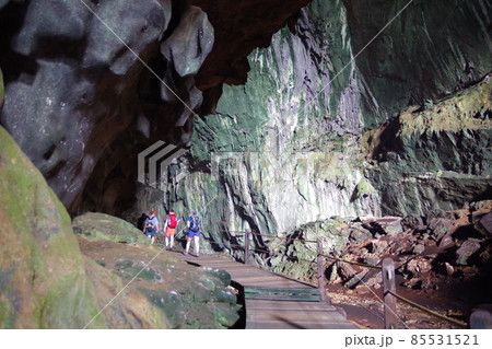 マレーシア　ボルネオ島の世界遺産　グヌン・ムル国立公園のディアケイブ 85531521