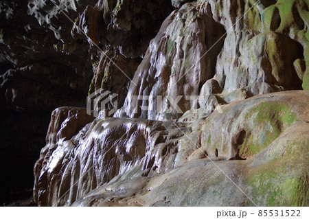 マレーシア　ボルネオ島の世界遺産　グヌン・ムル国立公園のディアケイブ 85531522