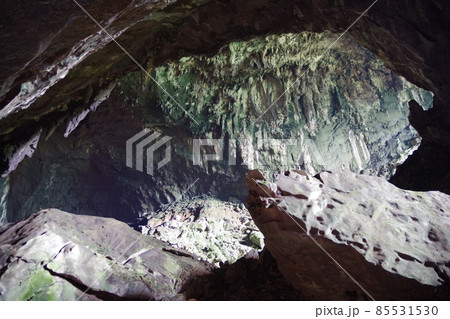 マレーシア　ボルネオ島の世界遺産　グヌン・ムル国立公園のディアケイブ 85531530