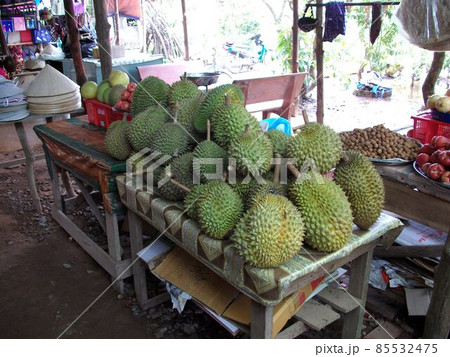 ベトナム旅行 85532475