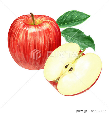 美しいりんご1つと半分のイラスト　葉っぱ付き 85532587