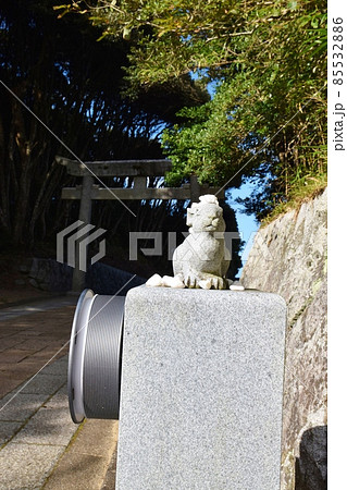 白兎神社参道と鳥居 鳥取 白兎神社参道と鳥居 鳥取 85532886