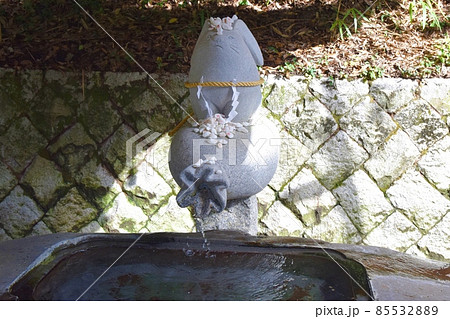 白兎神社参道　鳥取 85532889