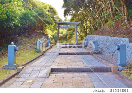 白兎神社参道と鳥居 鳥取 白兎神社参道と鳥居 鳥取 85532891