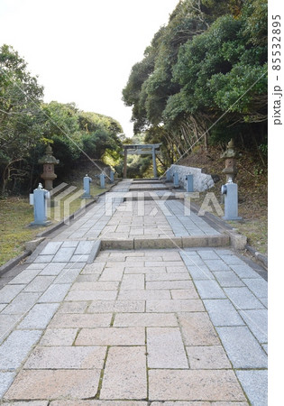 白兎神社参道と鳥居 鳥取 白兎神社参道と鳥居 鳥取 85532895