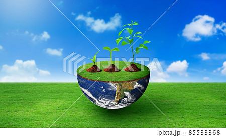 Plants of different sizes on half sphere with green grass on. Nature and Blue sky Background. Environmental stewardship, World Environment Day, and Saving environment Concept. Image furnished by NASA. Plants of different sizes on half sphere with green grass on. Nature and Blue sky Background. Environmental stewardship, World Environment Day, and Saving environment Concept. Image furnished by NASA. 85533368