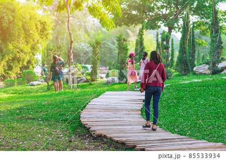 Back view of Asian woman walk alone on pathway through green garden. Female relaxing alone in the park. People spending time outside in green nature. Enjoying nature walking and relax alone outdoors. 85533934