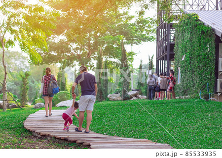 Back view of Asian Father hand holding lovely daughter walking on pathway through green garden.Dad and daughter walking together in park. Happy family spending time together outside in green nature. 85533935