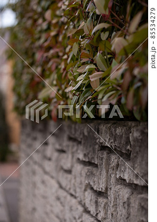 民家の垣根 Private sector 民家の垣根 Private sector 85534279