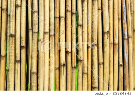 Old brown tone bamboo simple wall or Bamboo fence texture background for interior or exterior design vintage tone. Brown bamboo stick pattern backdrop. Local area urban house protection from thief. Old brown tone bamboo simple wall or Bamboo fence texture background for interior or exterior design vintage tone. Brown bamboo stick pattern backdrop. Local area urban house protection from thief. 85534342