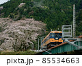 桜と電車 85534663