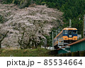 桜と電車 85534664