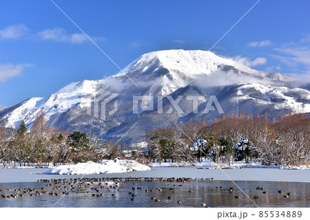 雪の伊吹山 雪の伊吹山 85534889