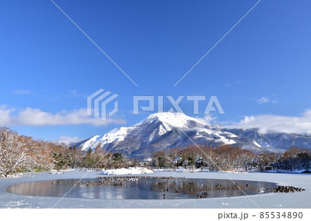 雪の伊吹山 雪の伊吹山 85534890