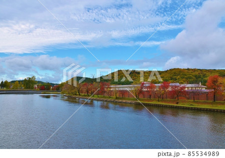 秋晴れの網走川　北海道 85534989