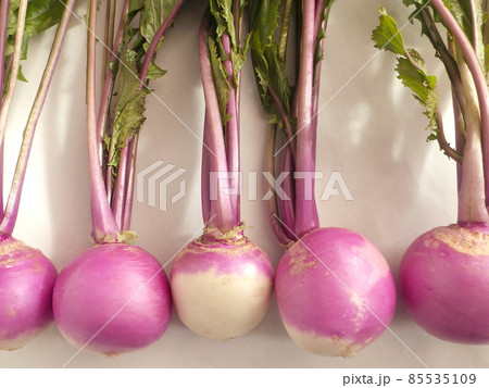 横並びの葉付き赤カブ、五個 横並びの葉付き赤カブ、五個 85535109