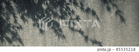 壁に落ちた樹影 85535218